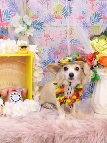 20250801めるちゃん