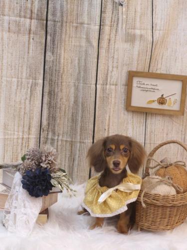 20241016モカちゃん