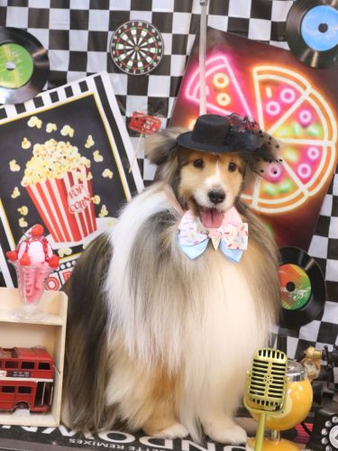 20260430ノアくん