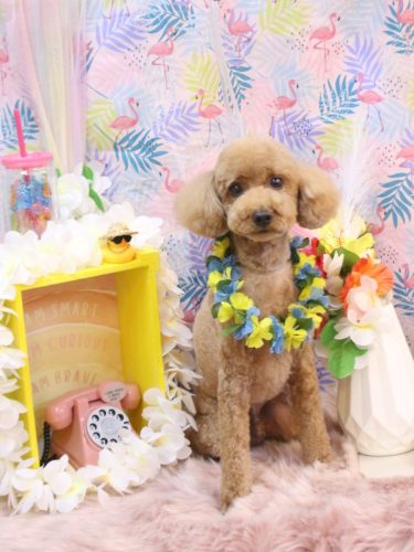 20250806カイくん