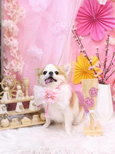 20250315くうくん