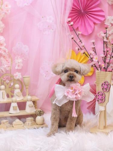 20250316そらくん