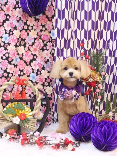 20250108マロンくん