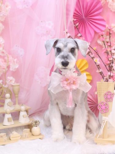 20250323りくくん