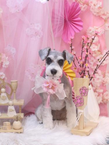 20250323ふたばちゃん