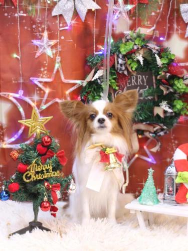 20231224ぎゅうちゃん