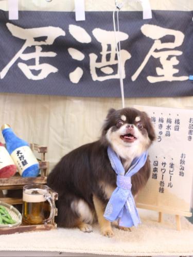 20240614フェルくん