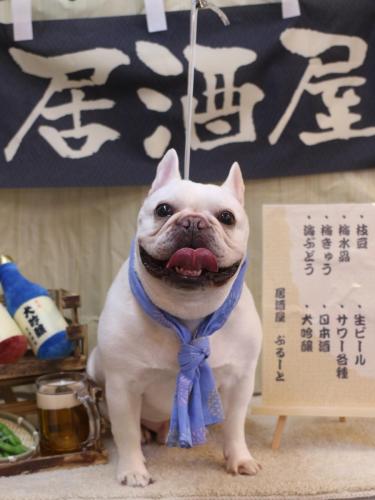 20240614まろんくん