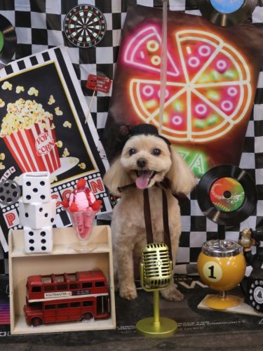 20260410ショコラくん