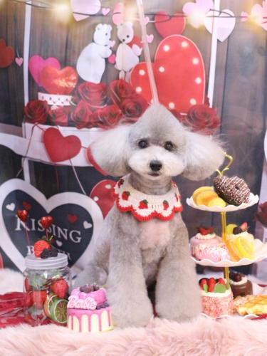 20250219宇宙くん