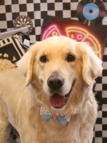 20260417レオくん