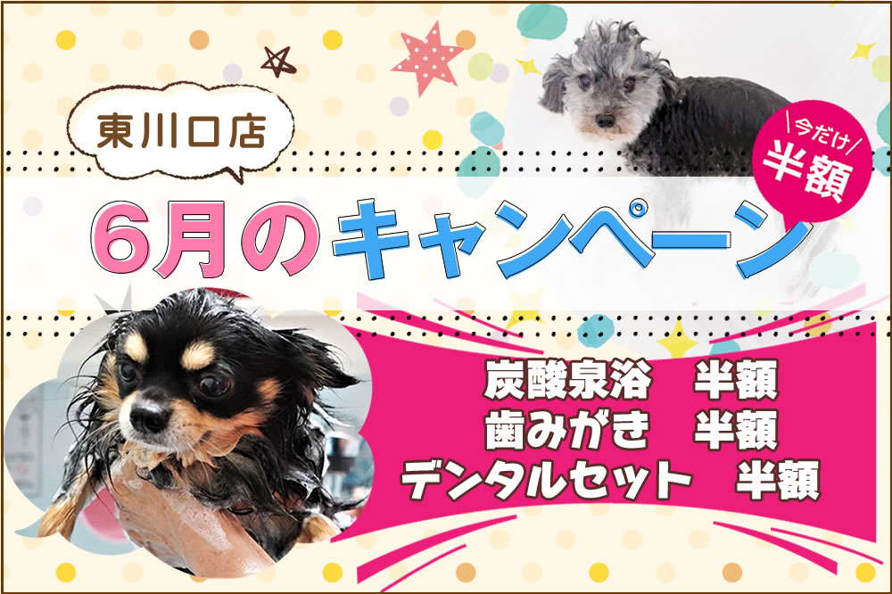 ペットサロンプルート東川口店
