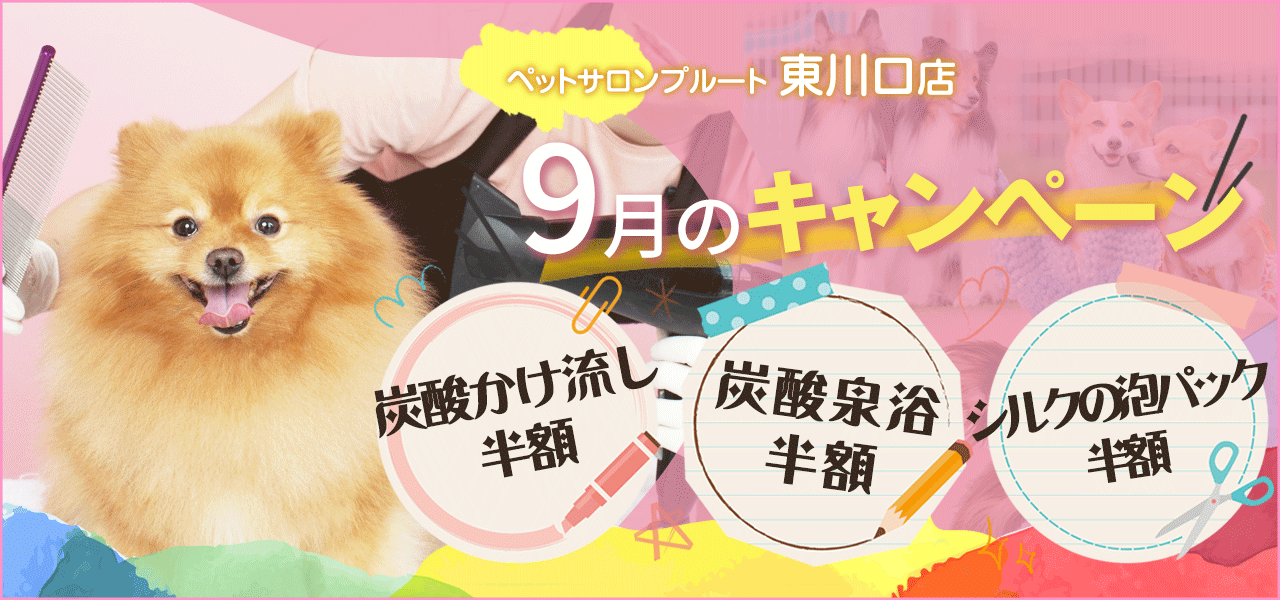 ペットサロンプルート東川口店