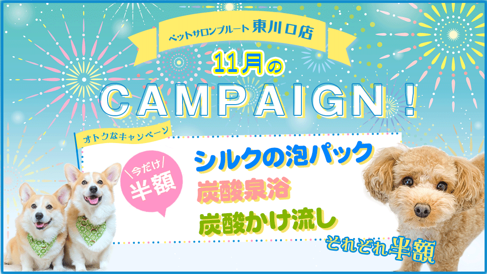 ペットサロンプルート東川口店