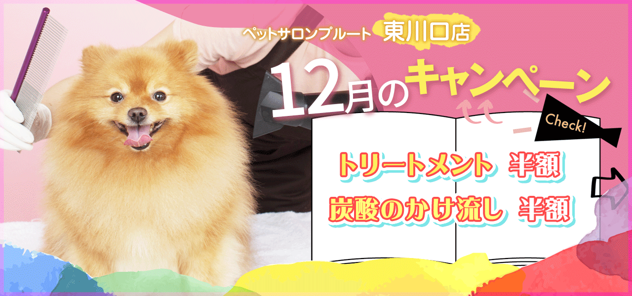 ペットサロンプルート東川口店