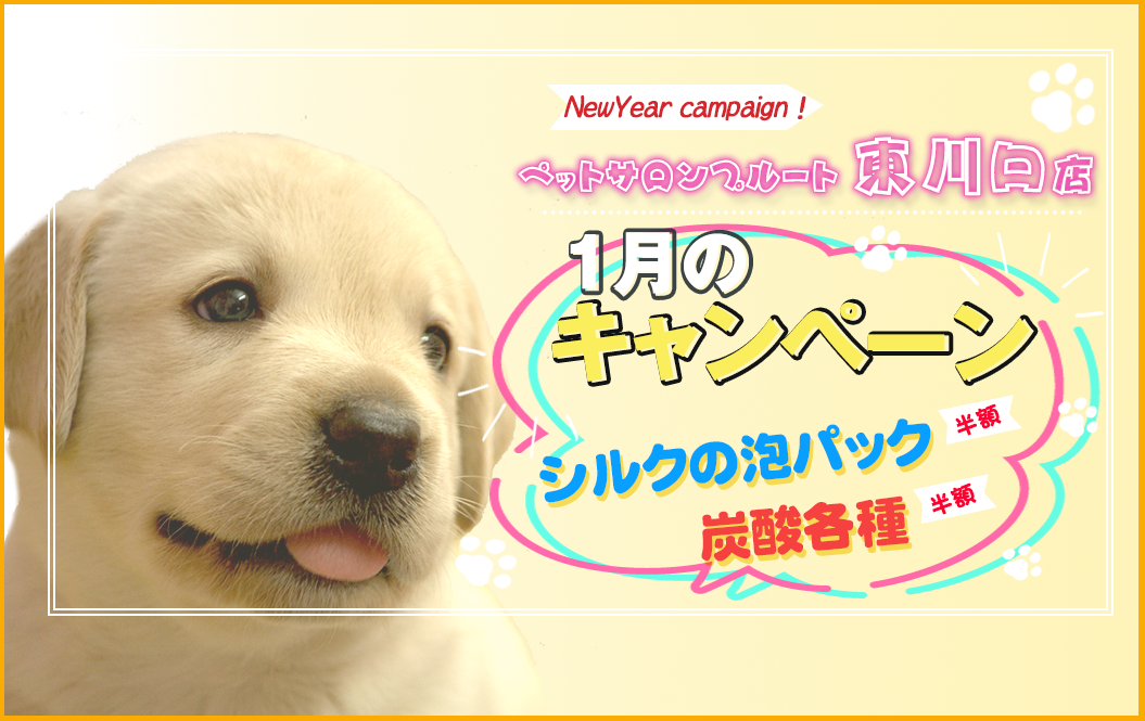 ペットサロンプルート東川口店