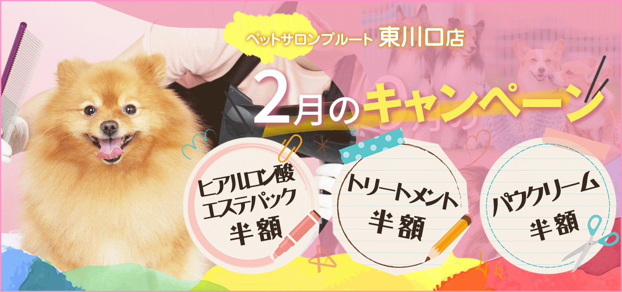 ペットサロンプルート東川口店