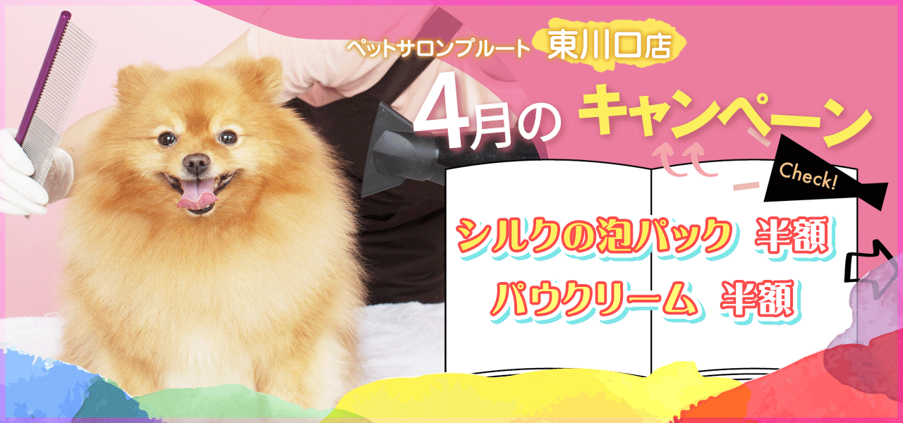 ペットサロンプルート東川口店