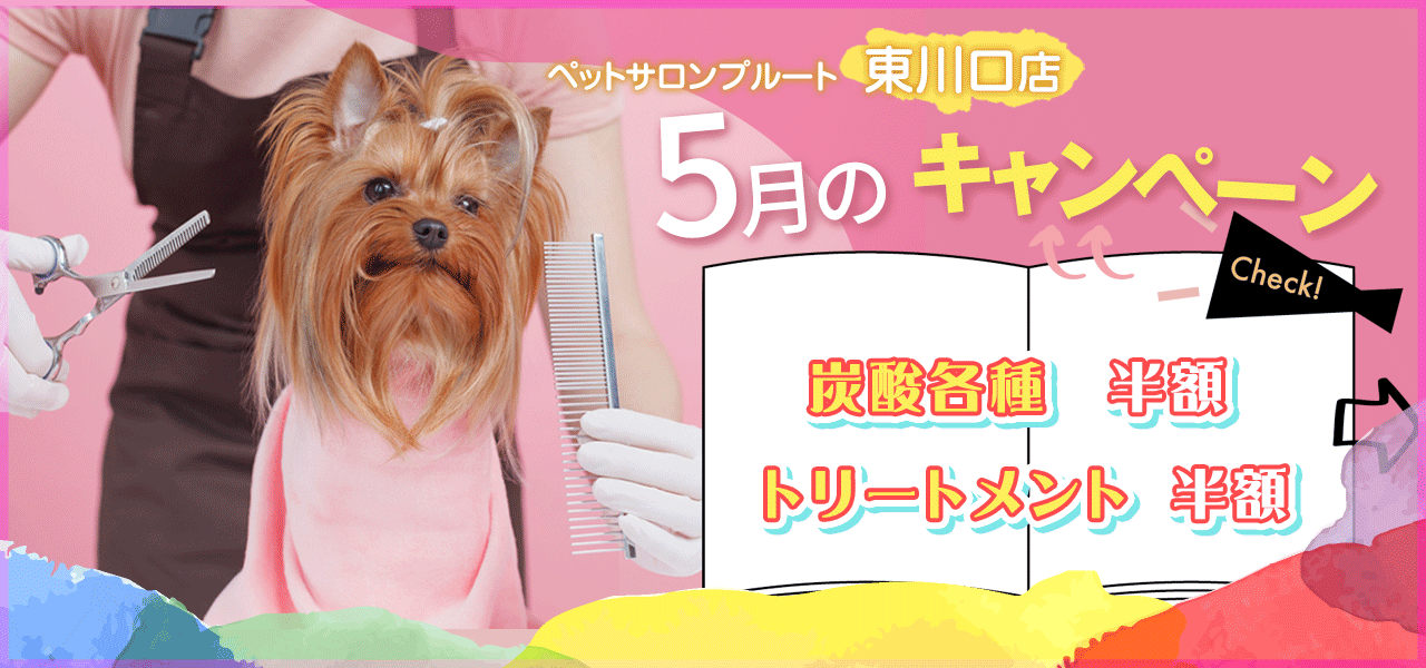 ペットサロンプルート東川口店