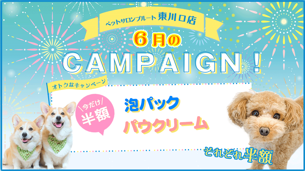 ペットサロンプルート東川口店