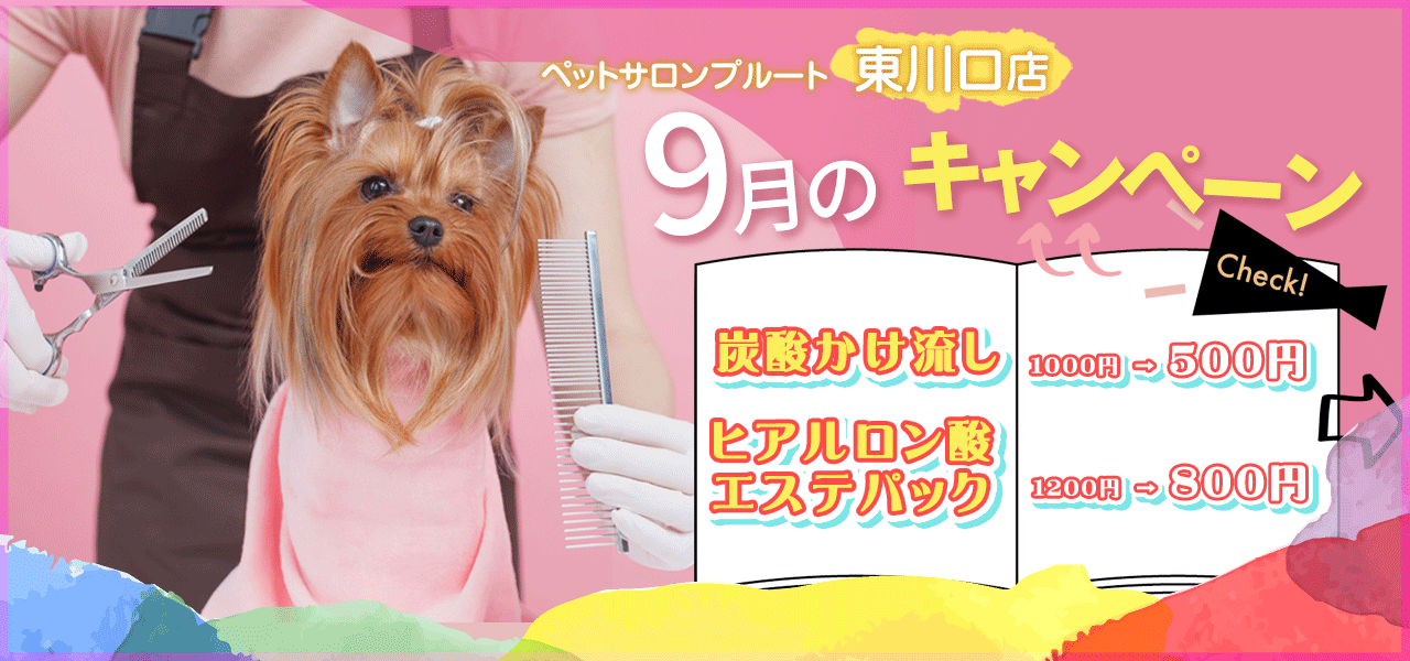 ペットサロンプルート東川口店